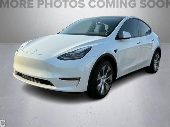 TESLA MODEL Y 2022 7SAYGDEE8NF367542 image